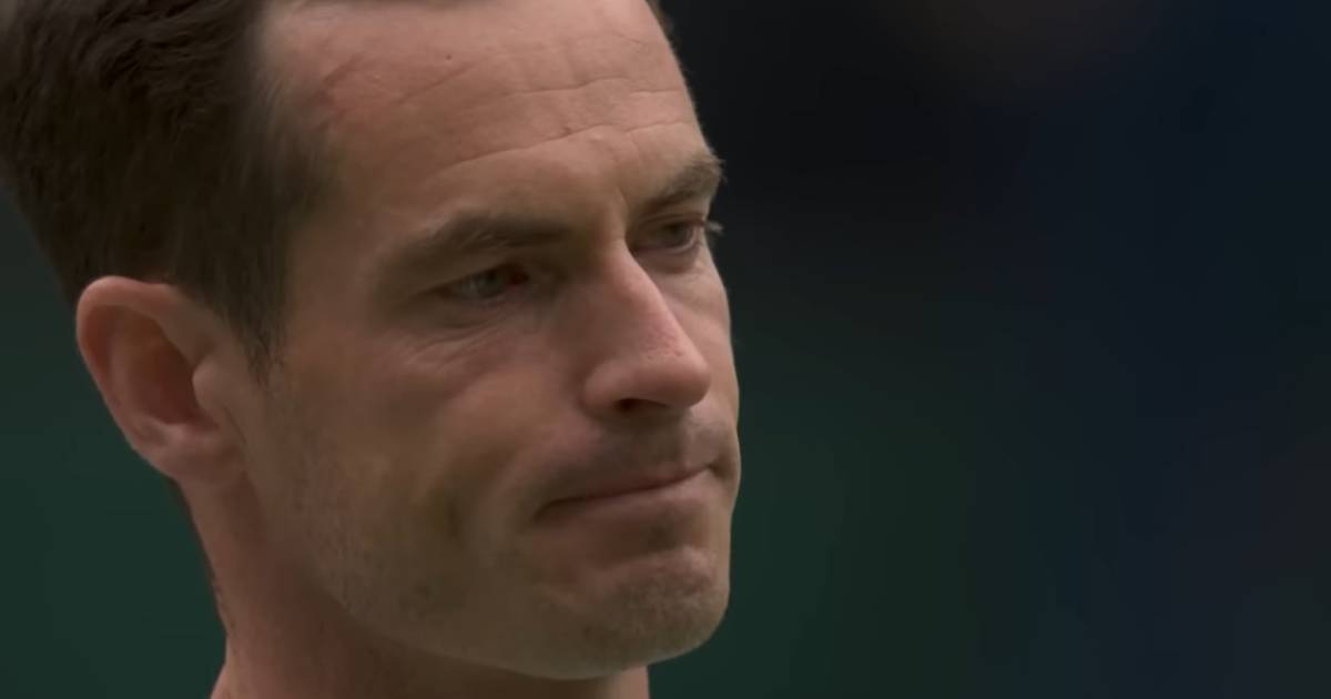 andy murray