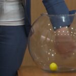 cik zrijeb kinder jaje