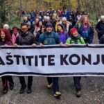 konjuh aktivisti karton revolucija