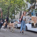 koze vododovod banja luka