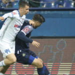 kupresak stilic