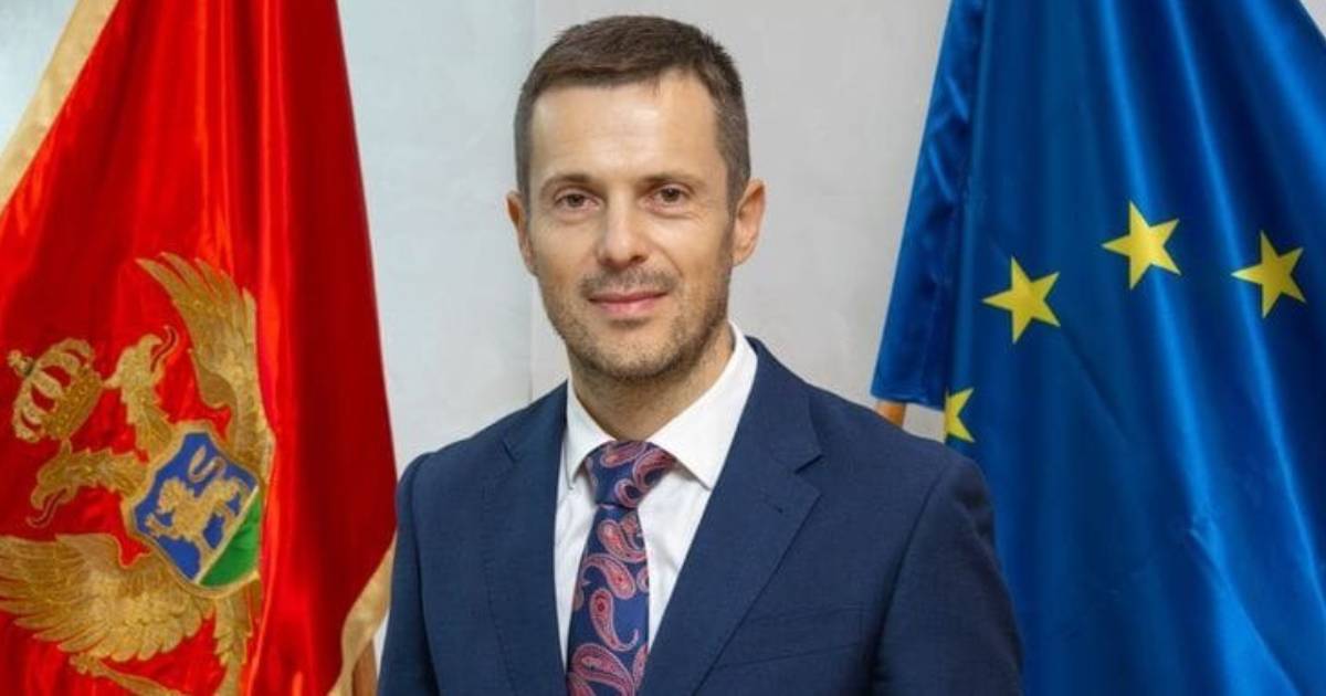 sasa mujovic