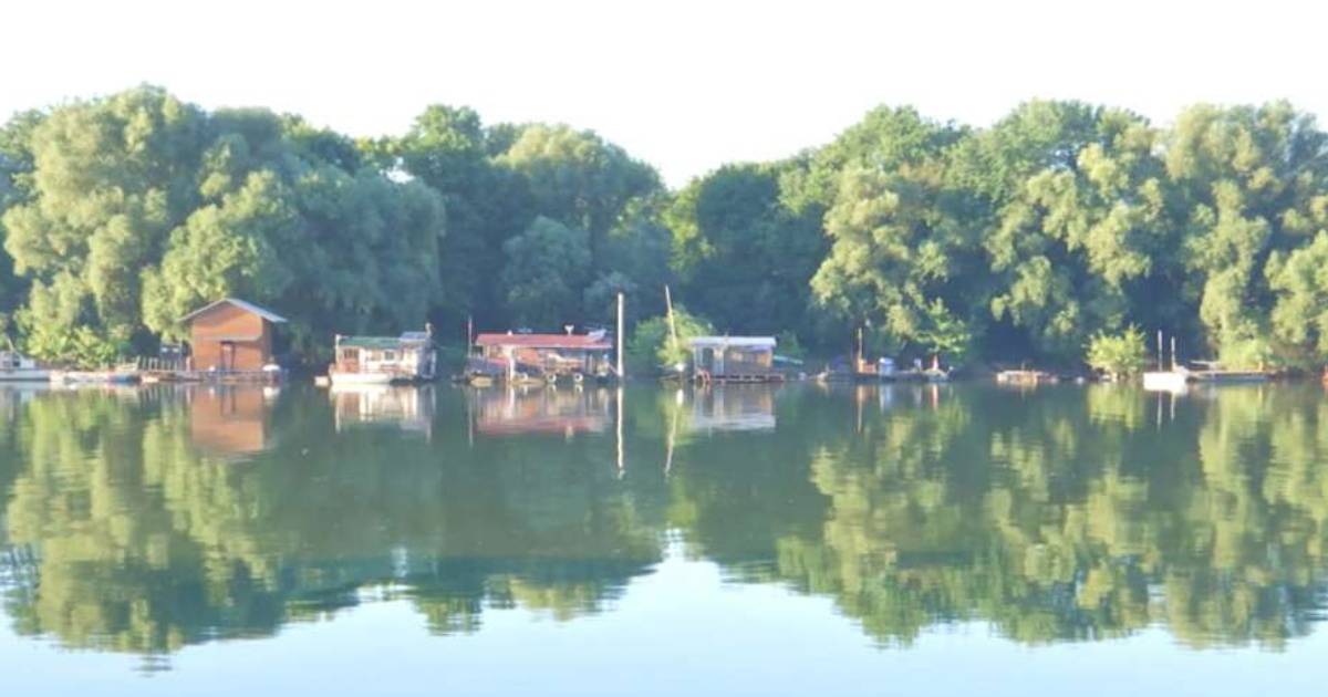 sava beograd
