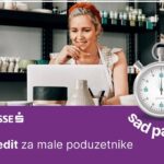 sparkasse mikro kredit