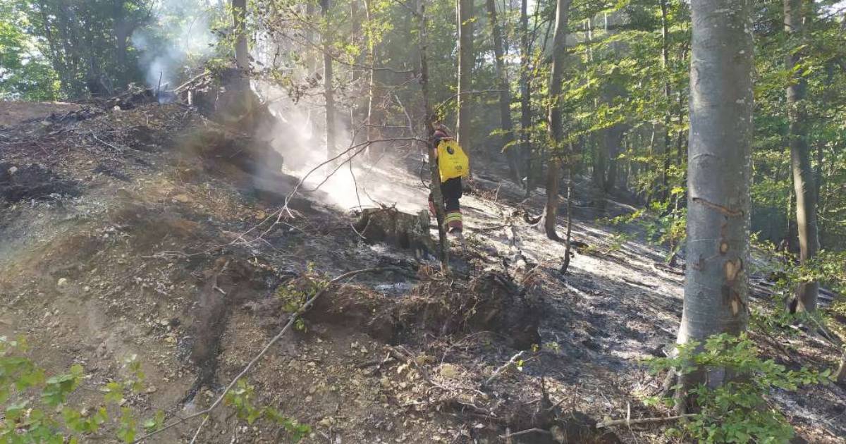 bjelasnica pozar vatrogasci