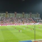 borac ferencvaros
