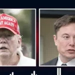 donald trump musk