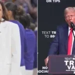 harris trump