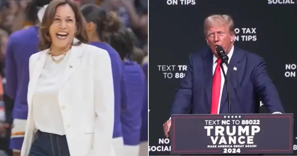 harris trump