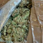marihuana kanabis trava