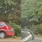 poginula vaspitačica u saobraćajnoj nesreći