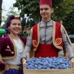 sajam sljive gradacac
