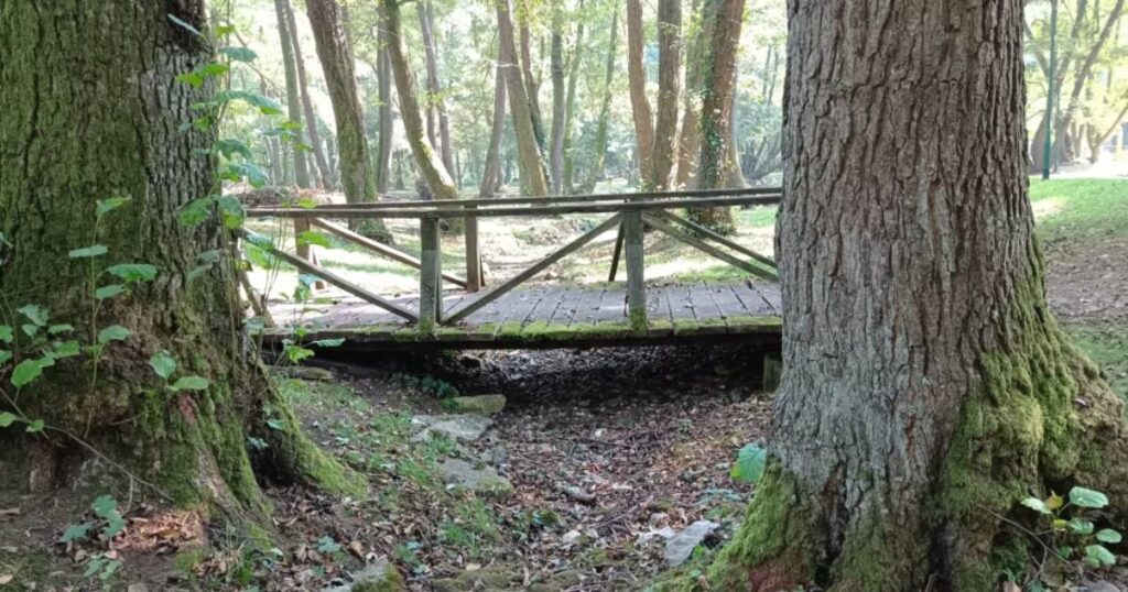 vrelo bosne suša