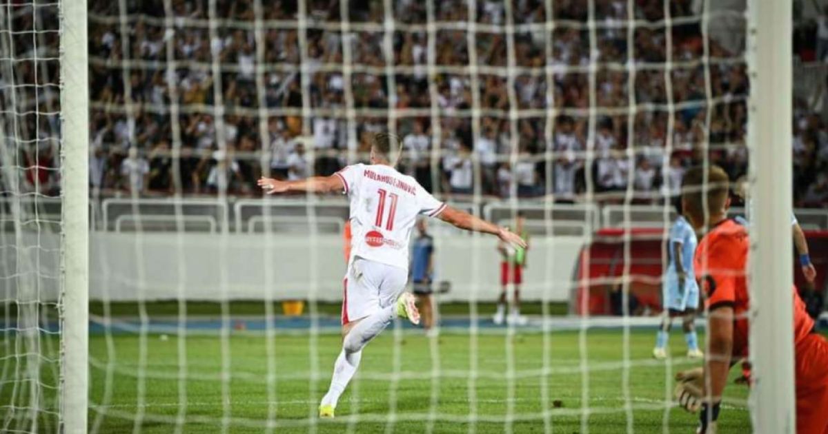 zrinjski gol
