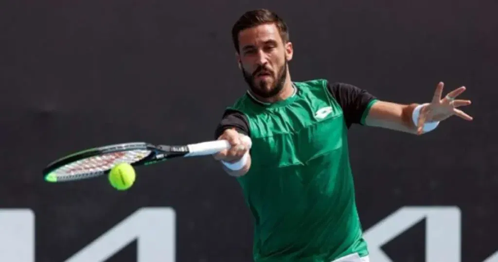 damir džumhur