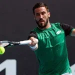 damir džumhur