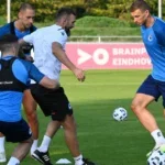 edin džeko
