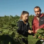 ena uzejnović lješnjak