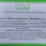 enver mandzic