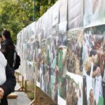 izlozba srebrenica