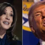 kamala harris donald trump