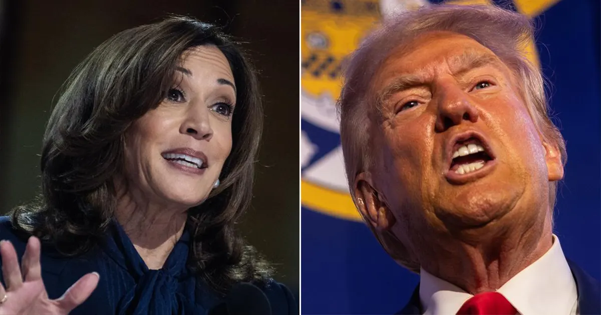 kamala harris donald trump