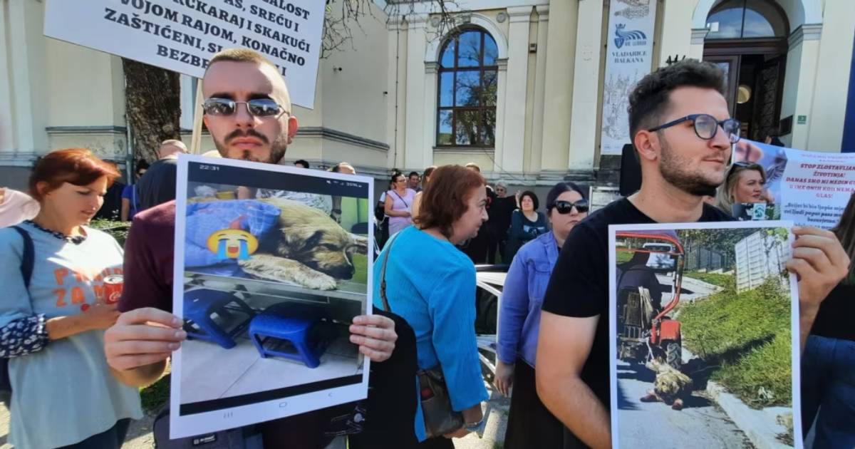 protest zlostavljanje zivotinja sarajevo