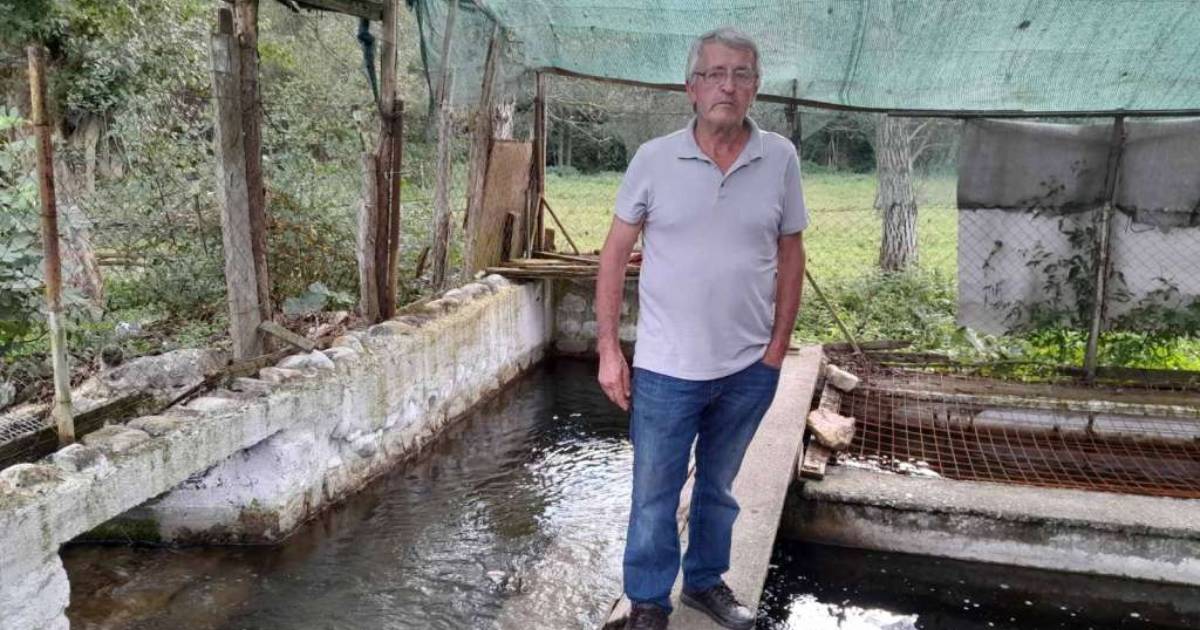 ribnjak becirovic konjevic polje