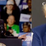 harris trump