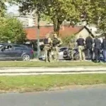 napad na nenada nešića