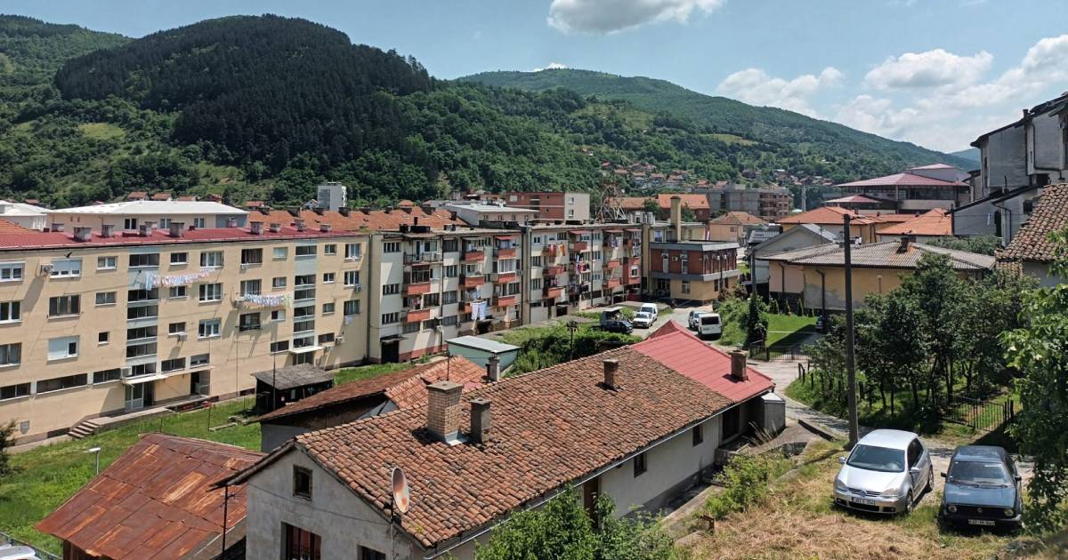foča