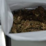marihuana kanabis