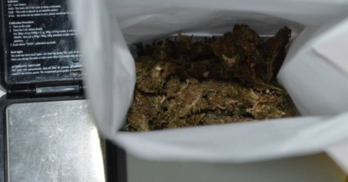 marihuana kanabis
