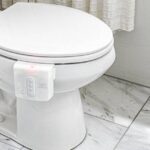 wc solja throne