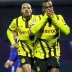 dinamo borussia