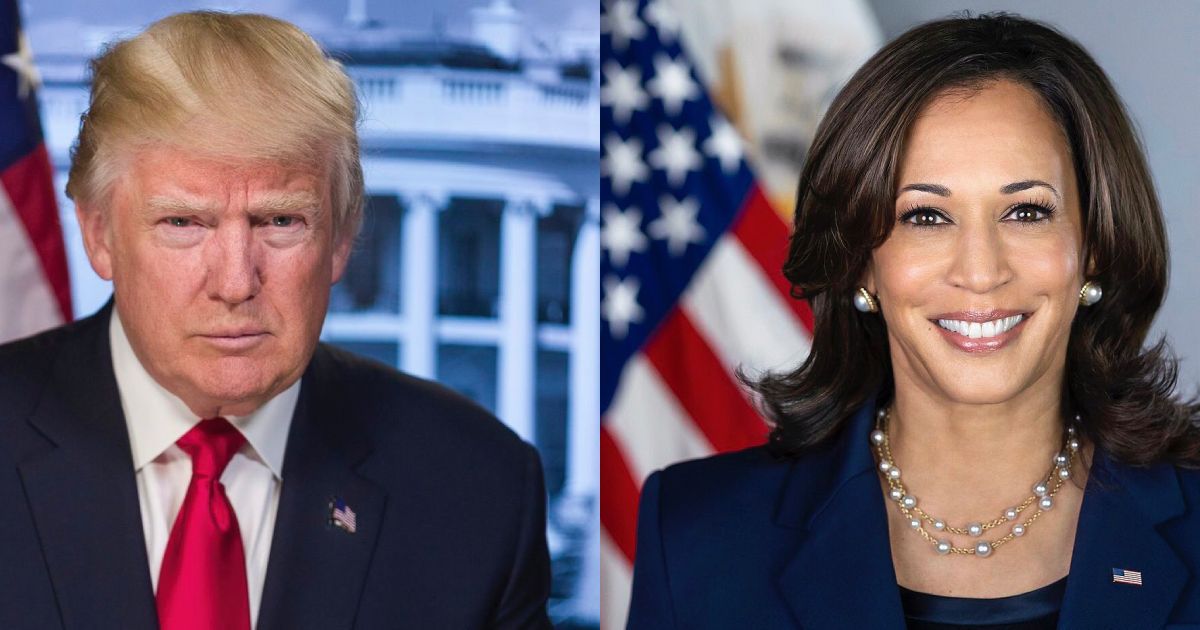 donald trump kamala harris