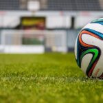 fudbal