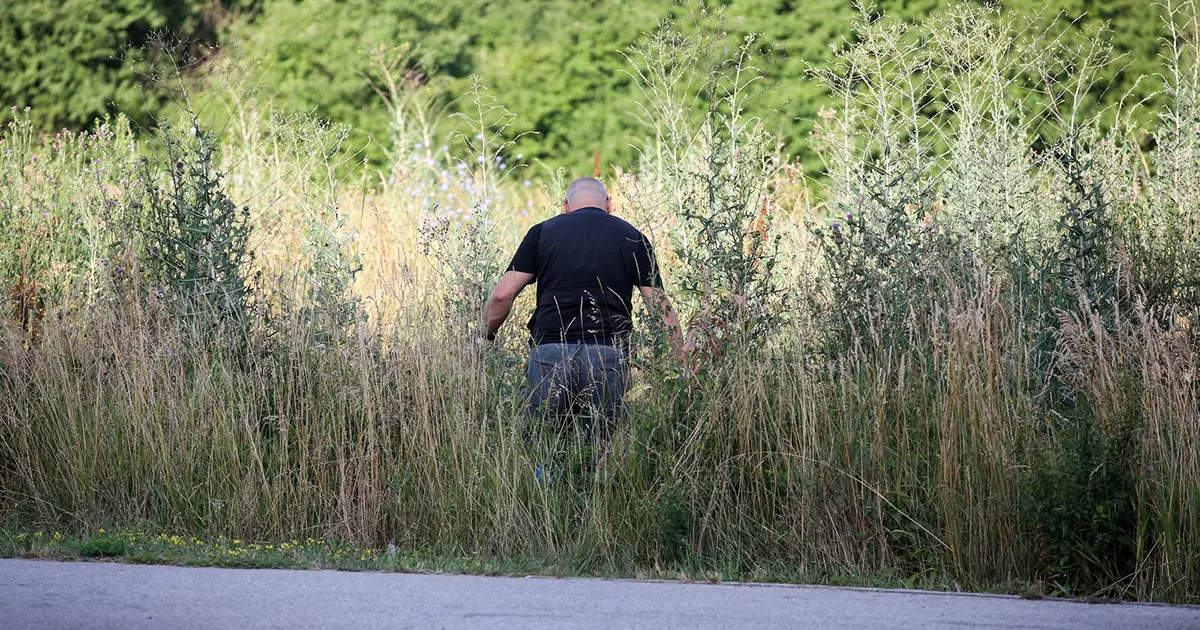 hrvatska potraga