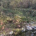 ilidza rimske iskopine