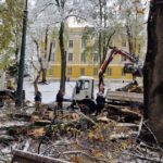 kjkp park polomljene grane snijeg sarajevo