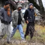 migranti