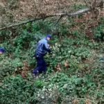 potraga policija suma