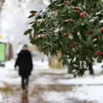 vremenska prognoza