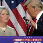 susie wiles trump