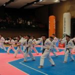 svecano otvaranje ep taekwondo