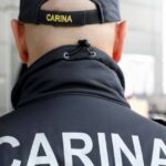 carina uiobih granica carinik