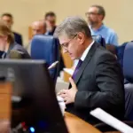 denis zvizdic