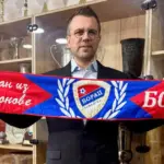 zvjezdan misimović u borcu