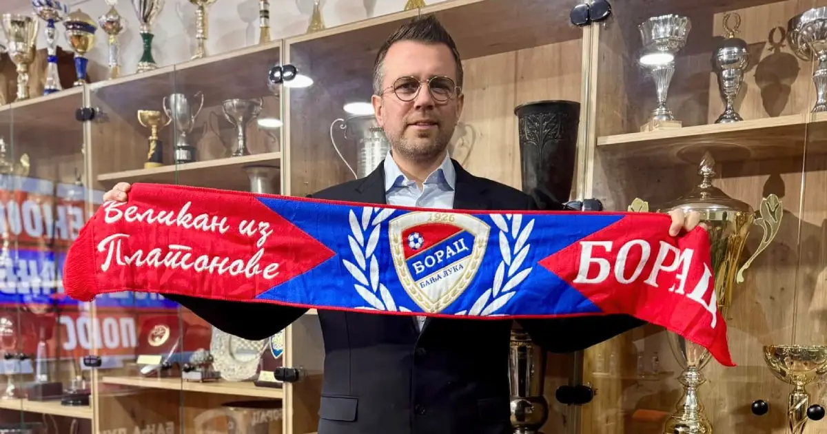 zvjezdan misimović u borcu