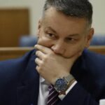 nenad nesic parlament